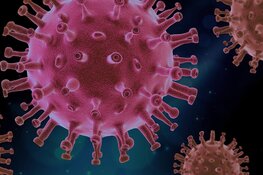 Dr. Jansencentrum Emmeloord eerste tijdelijke zorglocatie voor corona-patiënten