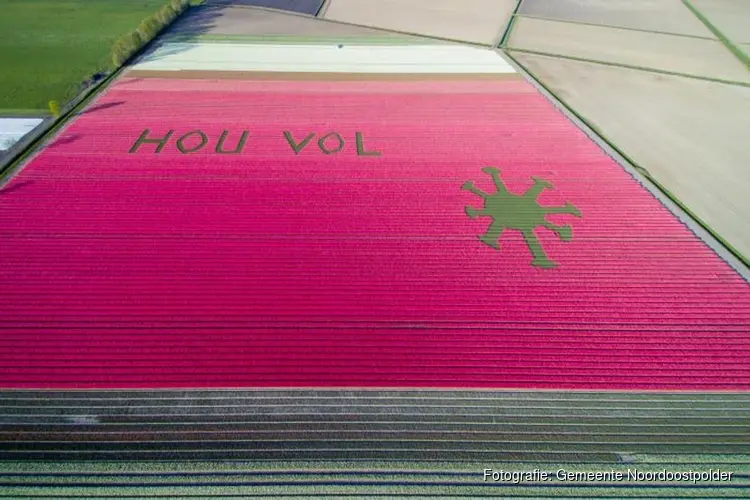 Tulpenkunstwerk HOU VOL