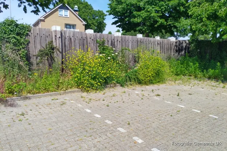 Inloopmiddag vervanging palenscherm Pyramideweg