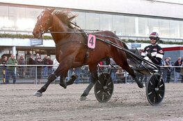 Jonge drafsport professionals Danny (24) en Micha Brouwer (22) uit Bant gaan voor groots succes in Zweden