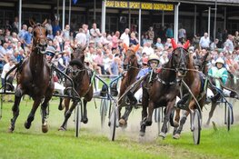 Meer paarden dan startbewijzen in Emmeloord
