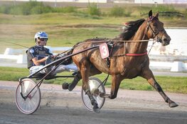 Micha Brouwer verslaat grote broer Danny in Super Trot Cup