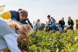 Opening Nationale Aardappelrooidag in beeld