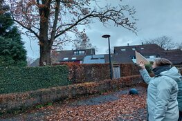 Leerkrachten in Flevoland volgden workshop: hoe ga je van binnenles naar buitenles?