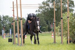 Dier all in in Vollenhove maakt eerste TREC wedstrijd voor ruiters mogelijk.