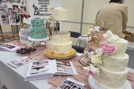 Ga je binnenkort trouwen? Bij WeddingFair ben je aan het juiste adres!