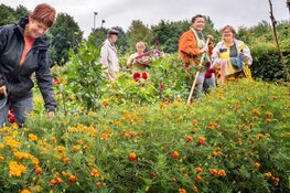 Train-de-trainer bijeenkomst: 'Een levende tuin maak je zelf' op 22 mei 2023