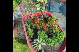 Train-de-trainer bijeenkomst: 'Een levende tuin maak je zelf' op 22 mei 2023