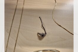 Gevonden sieraden van woninginbraken in Emmeloord en Lelystad