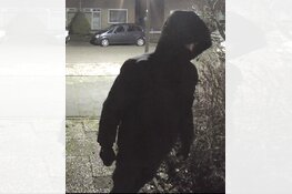 Gezocht: Vernieling woning De Alpen - Emmeloord