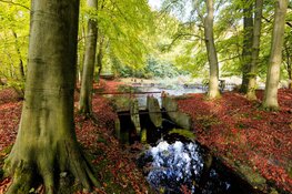 Nieuw entreegebouw voor Waterloopbos