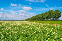 Gezocht: 200 Flevolanders die luchtkwaliteit willen meten