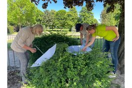 Natuurinspiratie voor de les tijdens de Groene Studiemiddag