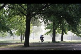 Flevoland enige provincie met stijging: toch voldoet minder dan de helft aan beweegrichtlijn