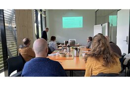 Van hoornaarnest op ongewenste plek naar wespvriendelijke oplossing