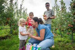 Flevolandse fruittelers openen hun boomgaard: geniet van de oogst van dichtbij